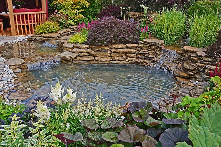Merry’s Water Garden